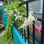 Pulai Bliss Homestay